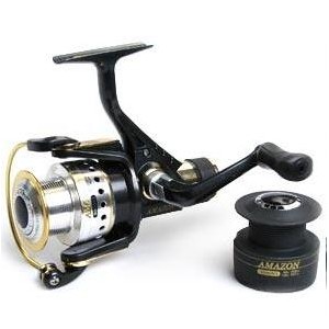 Ryobi Amazon 