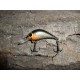 Wobler Stork 3 cm RC30