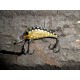 Wobler Stork 3 cm RC30