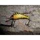 Wobler Stork 3 cm RC30