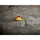 Wobler Stork 2 cm RG22