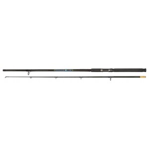 Robinson Santana Power Spin 3 m 60-150 g 