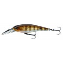 Tournament Shiner