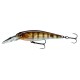 Tournament Shiner