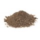 Dragon Maxima Feeder 2kg