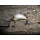 Wobler Stork 3 cm RB30