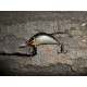 Wobler Stork 3 cm RB30