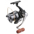 Mikado Catreel