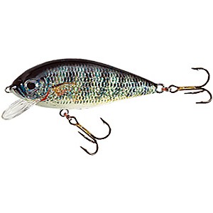 Holo Select Karaś 11 cm 39 g Pływający 