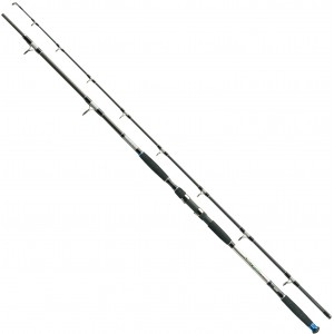 Jaxon Silver Shadow Catfish 285cm 500g