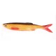 Bleak Real Tail 8cm/3g