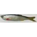 Bleak Real Tail 10,5cm/8g