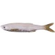 Bleak Real Tail 10,5cm/8g