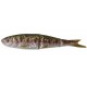 Soft 4Play 19cm Swim&Jerk