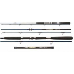 Team Cormoran Game & Pilk 2,40m 40-185g