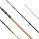 Cormoran Carb-O-Star XT Big Fish 2,70m 100-300g