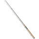 Daiwa Exceler Jiggerspin 2,70m 8-35g