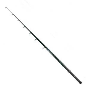 Robinson Santana Tele Strong 2,70 m 20-50 g