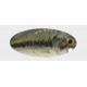 Woblery Dorado Stick 4,5cm 1,5g Pływający