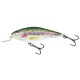 Woblery Salmo Executor 5cm 5g Pływający