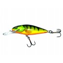 Woblery Salmo Perch 8cm 14g Pływający Głęboko Schodzący