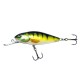 Woblery Salmo Perch 8cm 14g Pływający Głęboko Schodzący