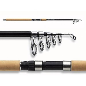 Daiwa Apollo Tele 3,9 m 70/150 g 