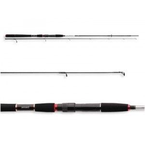 Daiwa Ryukon Jigger Spinn 2,7 m 8/35 g 