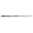 STRIKEFORCE Catfish 3,3 m 100/300 g