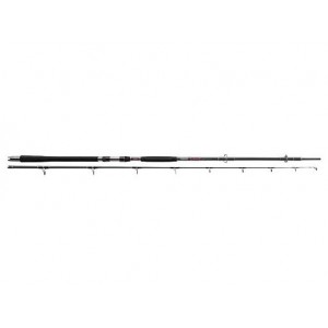 Daiwa STRIKEFORCE Catfish 3,3 m 100/300 g